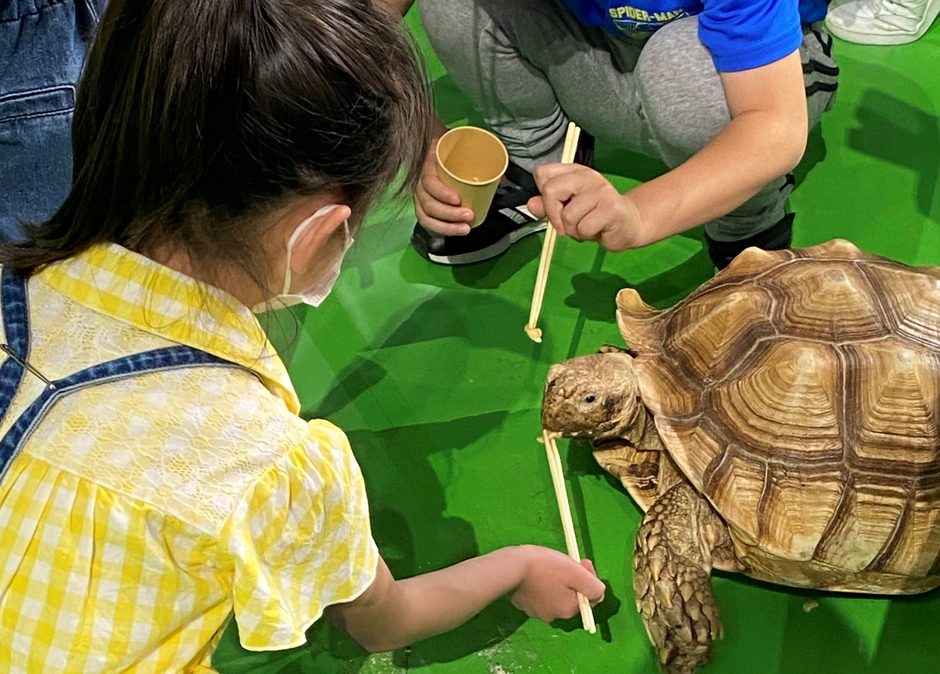 えさやりコーナー