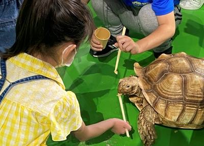 えさやりコーナー