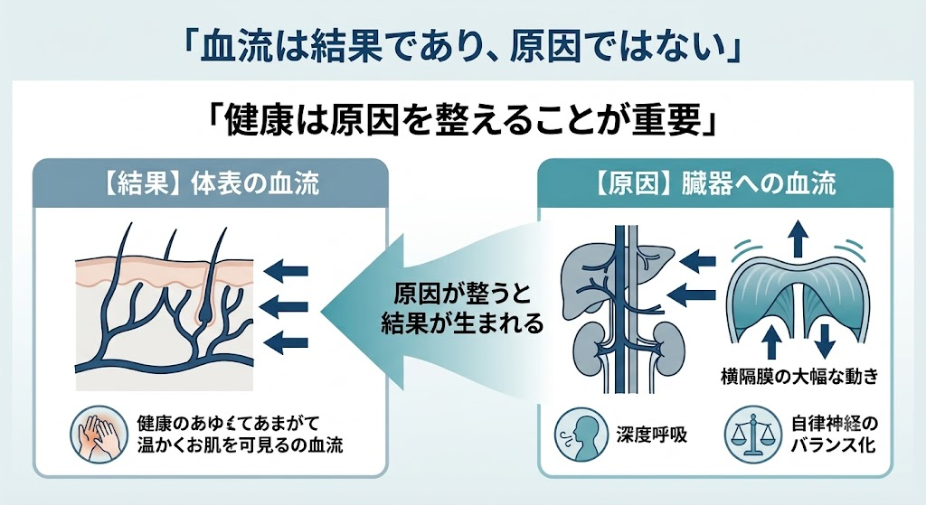 タイトル:血流=健康は本当か──素材は昔からある。変わったのは"語れる物語"だけ