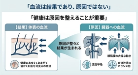 タイトル:血流=健康は本当か──素材は昔からある。変わったのは"語れる物語"だけ