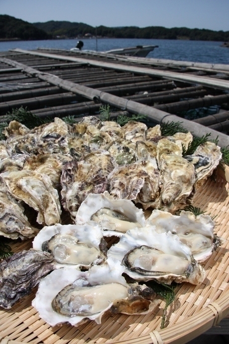 長崎は牡蠣の名産地でもある