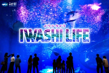 過去最多！約20,000匹のイワシたちが出会いの海で力強く群れ動く 『IWASHI LIFE』が5月25日からバージョンアップ！