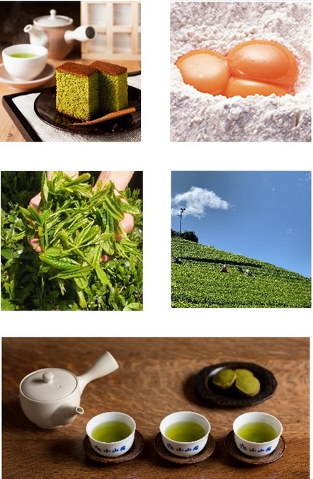 本場のカステラと新茶は相性抜群!