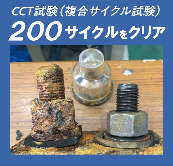 CCT試験