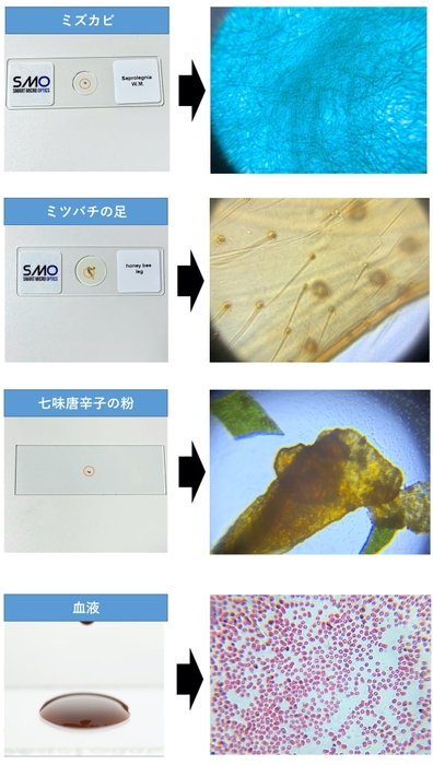 サンプル実例
