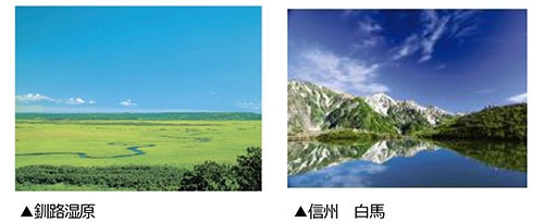 釧路湿原/信州 白馬