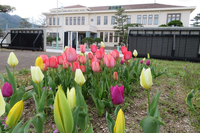 新しくなった博物苑の花壇