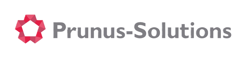 プラナスソリューションズ株式会社