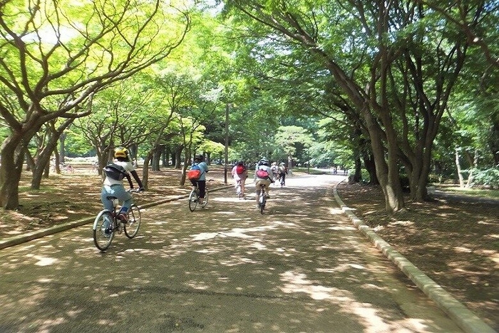 代々木公園内でサイクリング