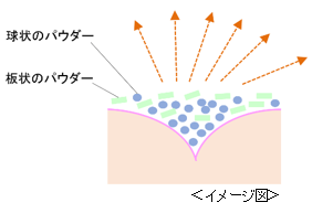 ソフトフォーカス効果のある2種類のパウダー