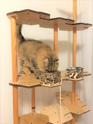 猫様用お食事台使用例