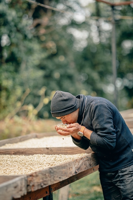 生産者の収穫風景(3)