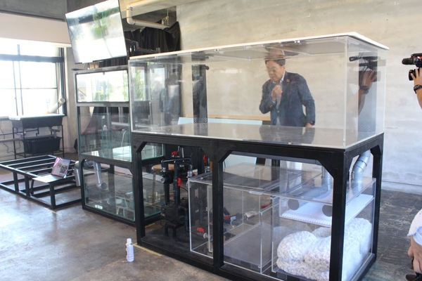 タマカイを収容する水槽を確認する山本准教授