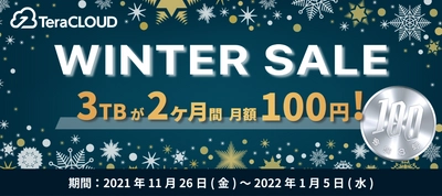 【大容量データのバックアップを始めるチャンス❗️】今だけ3TBが月額100円?