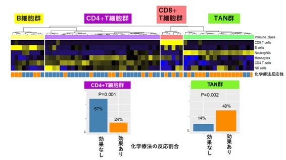 図1　胃がんの免疫分類