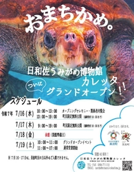 海亀ファン必見！特典満載のプレオープン 美波町の魅力をひと足早く体験しよう！ 【プレオープン記念】 限定チケット（大人：18歳以上）ぬいぐるみ券＋バッジセット １名分