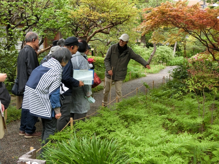 過去の野草ウォッチングの様子