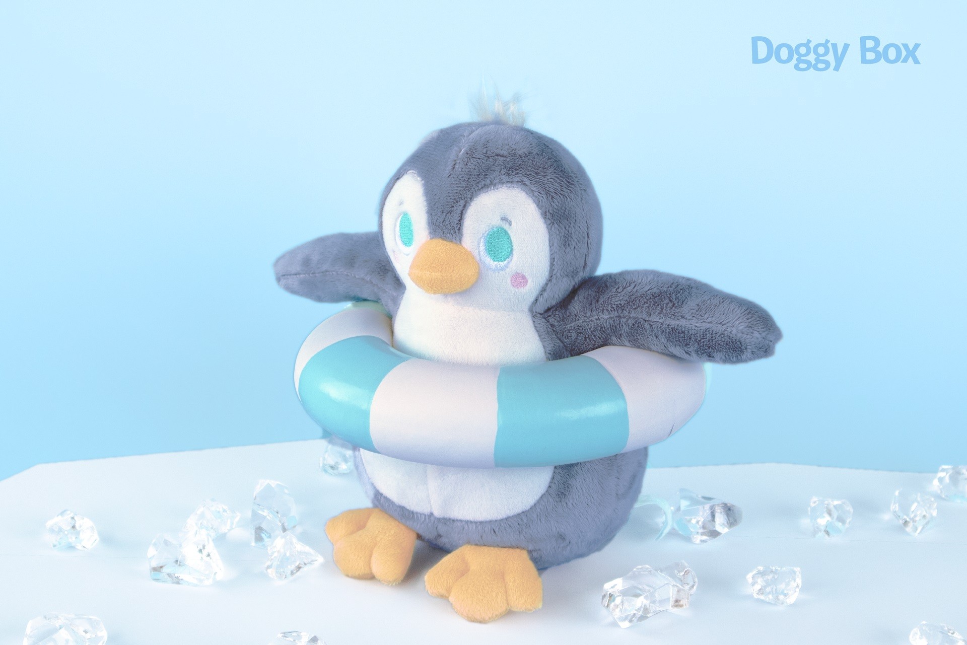 「Doggy Box」と特別コラボ 10月5日オープンの熱海・愛犬リゾート新別棟で<期間限定オープニングキャンペーン>開催