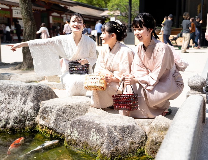 流行りのレース浴衣
