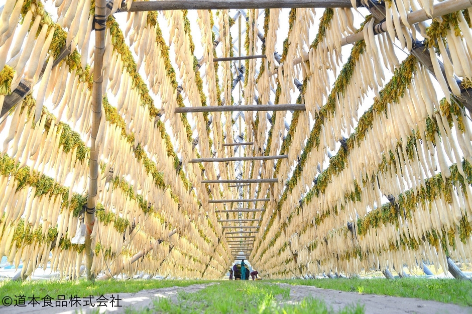 画像6：中から見たやぐらの様子