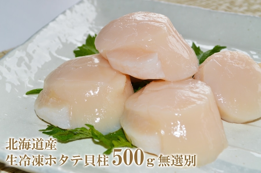 北海道産 生冷凍ホタテ貝柱 500g 無選別