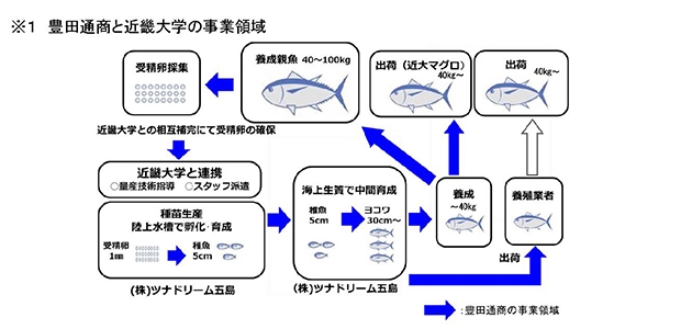 ※１ 豊田通商と近畿大学の事業領域