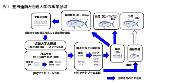 ※1 豊田通商と近畿大学の事業領域
