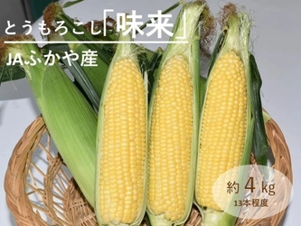 甘み際立つ埼玉県産とうもろこし「味来(みらい)」
産地直送通販サイト「ＪＡタウン」で予約販売中！
