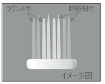 図3-1:付替システマ極上プレミアム