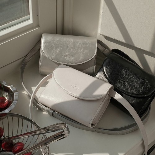 Passport Bag