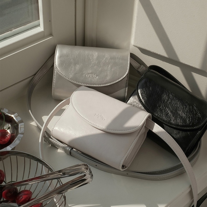 Passport Bag