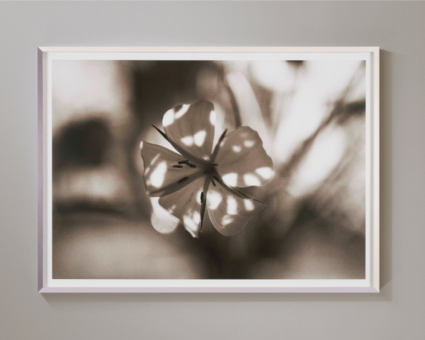 磯谷博史《影が光を生む》2020