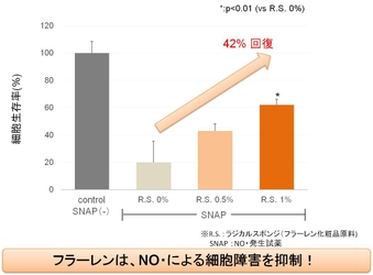 『フラーレン』が大気汚染による肌トラブルを抑制？ ヒト表皮角化細胞を使った実験で42％の細胞生存率上昇を確認