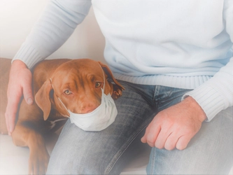 コロナで引きこもってしまうことで起こる愛犬の体調変化とは？