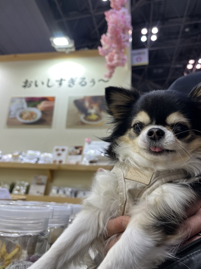 2025年出展時の参加者