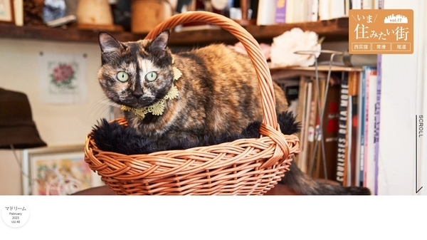 「マドリーム」Vol.48:いま住みたい街