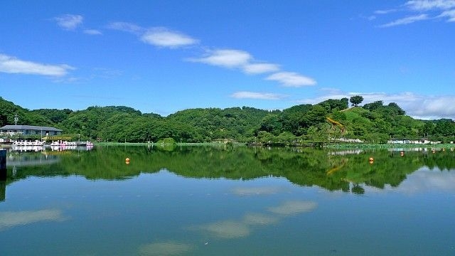 蓮華寺池公園