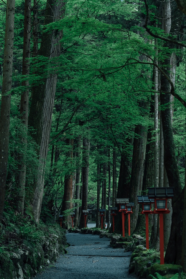 貴船神社 奥宮 参道