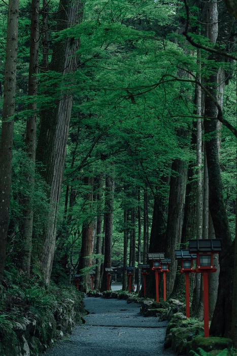 貴船神社　奥宮　参道