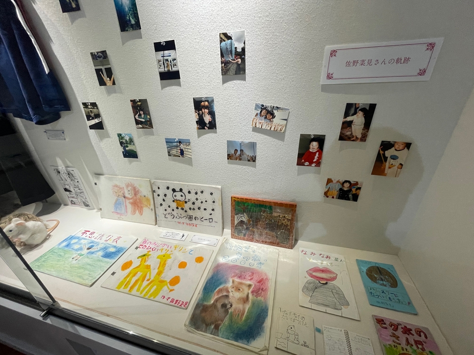 展示室内観(佐野菜見プライベート資料)