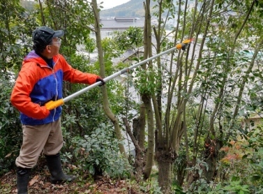 電源を気にせず使えるコードレスタイプ