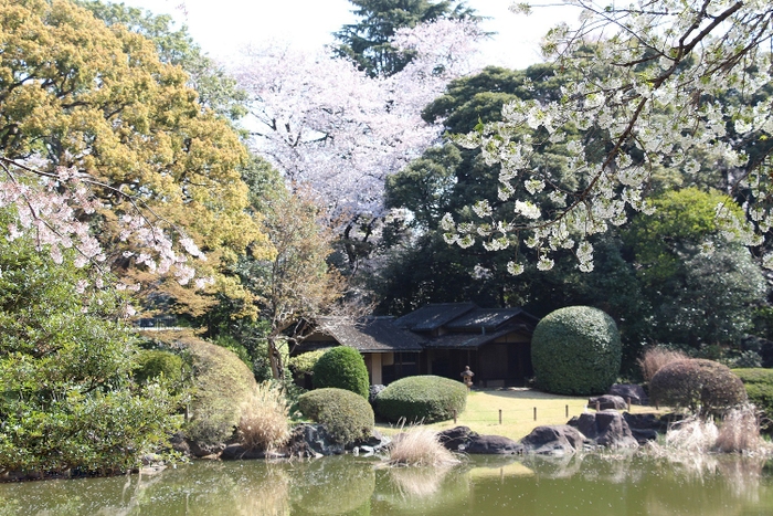 11.庭園風景