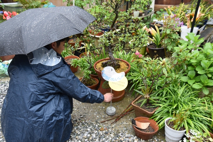 雨の中、軒先などに看板を設置 