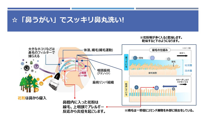 スギ ヒノキ 花粉症対策に 鼻うがい Newscast