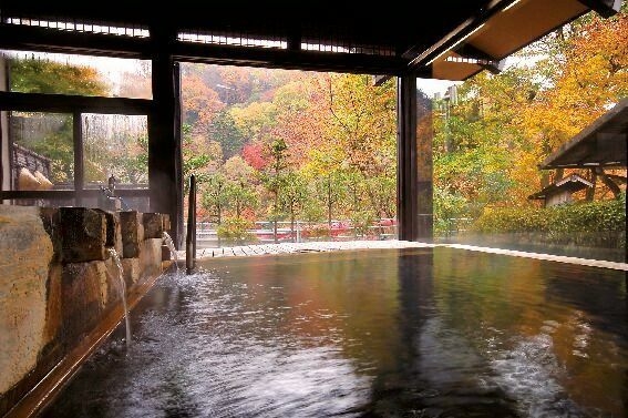 紅葉と温泉(ゆこゆこ)