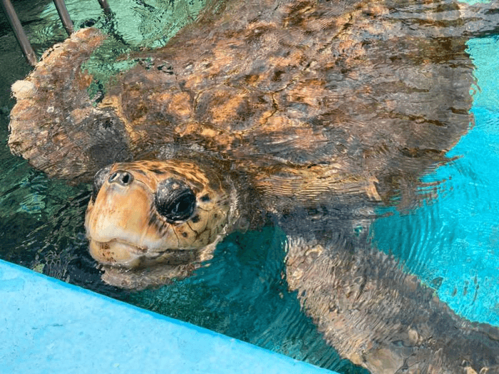 浜太郎