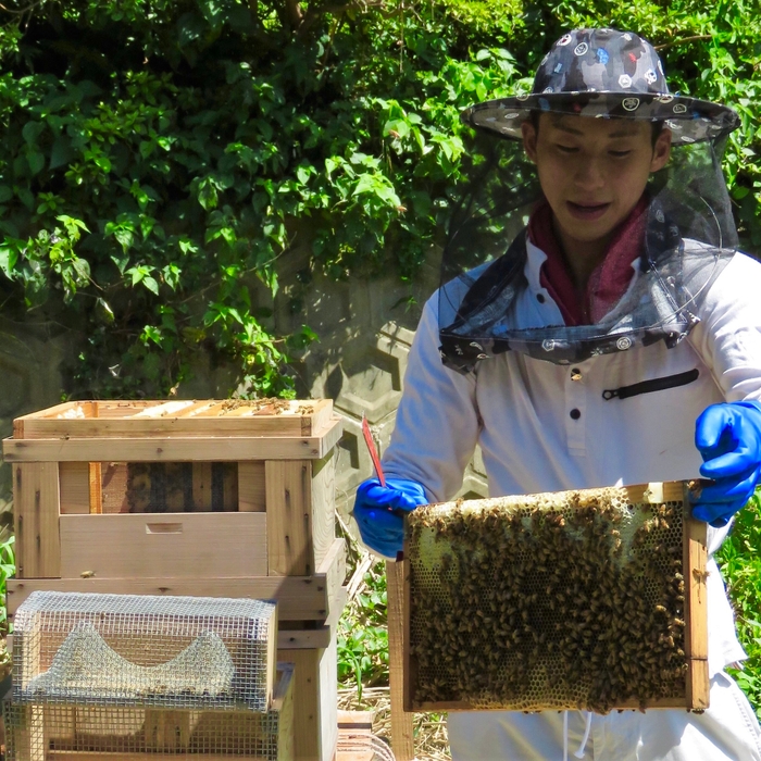 島の新たな産業づくりに挑戦「養蜂」