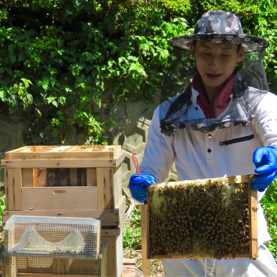 島の新たな産業づくりに挑戦「養蜂」