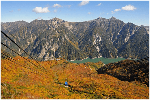 紅葉の、後立山連峰と黄金色のタンボ平《大観峰~黒部平》