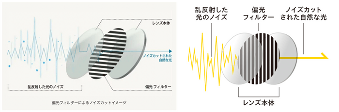 通常の偏光フィルターは水平に軸を持ちますが、垂直に軸を持たせた特殊レンズを開発しました 　　　※画像はイメージです。